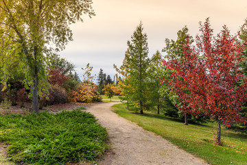 Sidney L. Buckwold Park