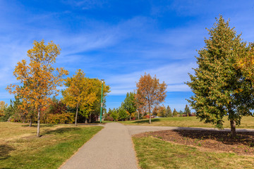 Sidney L. Buckwold Park