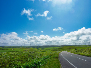 Fototapeta na wymiar 宗谷岬, 北海道, ウインドファーム, 風車, 風, 空, 野原, 風景, 緑, 自然
