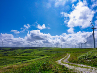 宗谷岬, 北海道, ウインドファーム, 風車, 風, 空, 野原, 風景, 緑, 自然