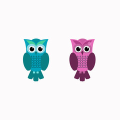 Obraz premium Animal bird,couple owl bird vector
