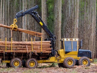 Logging Equipment Forestry Machine