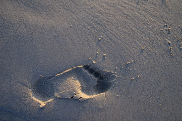 Bare footprint on the sand by the sea.