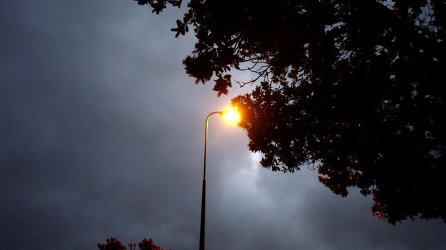 Street light blocked by dark branches from tree, eery scene, scary, horror, slow