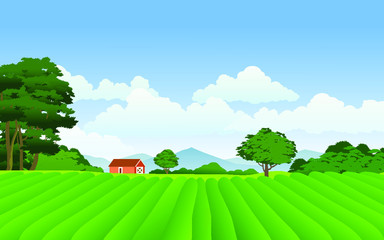 rural landscape with farm