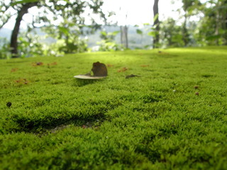 Naklejka premium OLYMPUS DIGITAL CAMERA