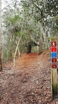 Pathway Amidst Trees At First Landing State Park