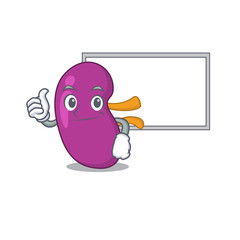Kidney cartoon design with Thumbs up finger bring a white board