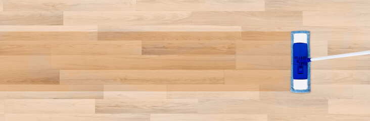 Mop cleaning a wooden floor