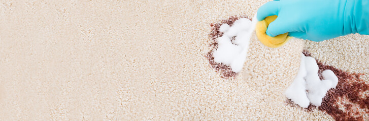 Person Cleaning Carpet With Sponge