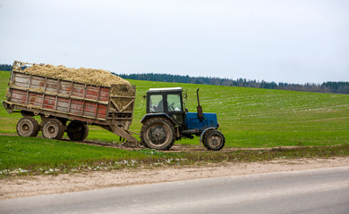 A blue tractor with hay leaving a green field on an asphalt road. Large trailer on wheels. Forest background.