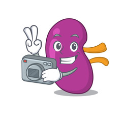 a professional photographer kidney cartoon picture working with camera