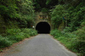 Fototapeta na wymiar 山奥のトンネルの入口