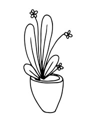Flower in a pot. Elongated rounded leaves. Flowers on thin long stems. For the interior. Stylized doodle drawing.
