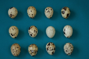 Quail eggs set close-up background. Egg pattern on a bright turquoise background. fresh bio diet product.Quail eggs row
