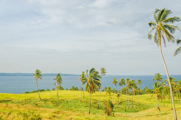 Fototapeta premium Siargao Island The Pilippines