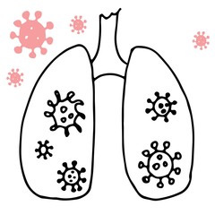 Illustration of lungs susceptible to the virus.  Drawing.