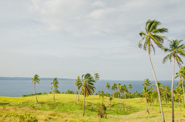 Siargao Island The Pilippines