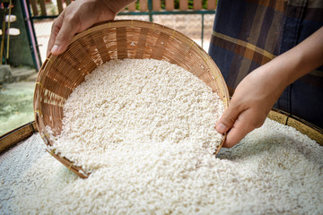 Close up A Farmer Thai woman is using her hands to dry the rice outdoors. Health products
 
