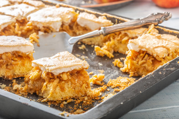 Baking tray with an apple pie cut to pieces and a vintage scoop in it