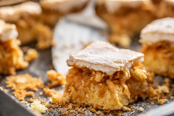 Detail of a baking tray with an apple pie cut to pieces and a vintage scoop in it