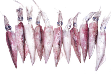 Whiteraw squids over white background. Selective focus image.
