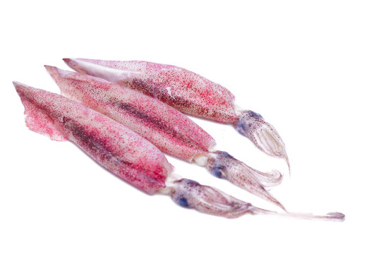 Whiteraw squids over white background. Selective focus image.