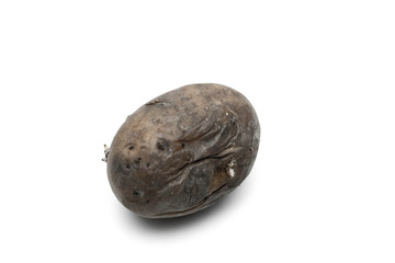 Close up rotten potato over white background.