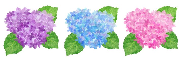 梅 手描き風 水彩風イラスト素材 Wall Mural Wallpaper Murals フユタチ