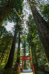箱根神社