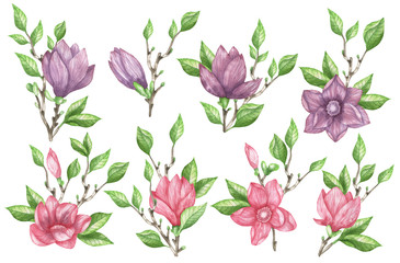 Set magnolia branches