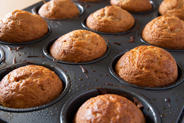 Baked Apple Cinnamon Muffins in a muffin pan