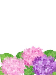 紫陽花　あじさい　フレーム　下枠　ピンク　紫