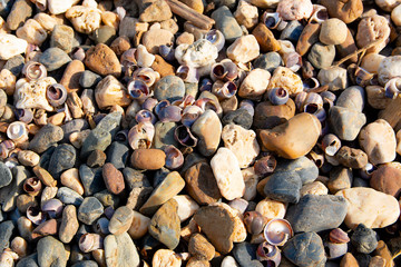 Colorful stones on the beach