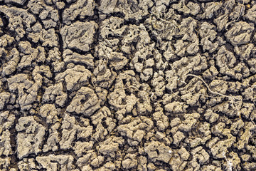 Women's bare feet stand on dry gray soil in cracks. A deserted land plot without plants. The view from the top