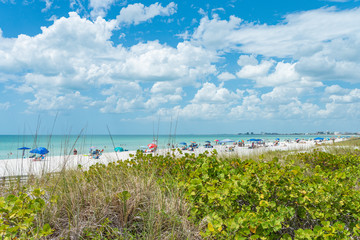 Beach umbrellas