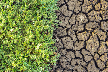 On one half of the land plot, green grass grows thickly. The other half is a lifeless, cracked soil with not a single plant on it. The view from the top