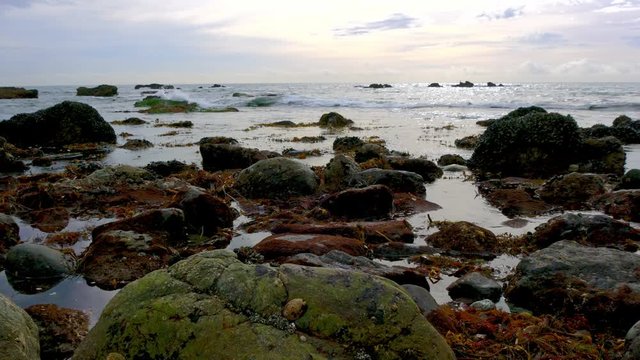 Waves crashing on rocky tide pool beach full of kelp as the evening colors glimmer in the clouds - Dana Point, California - 2019