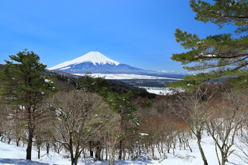 春の雪と富士山　二十曲峠からの眺め