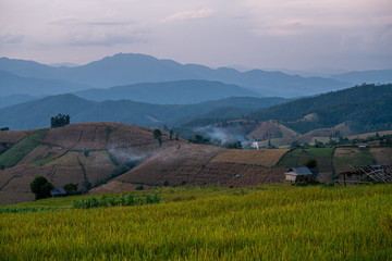 Rice terraces of hill tribe people in Mae Chaem District Chiang Mai is becoming golden, looks...
