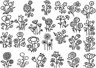 beautiful flower illustration Cartoon illustration