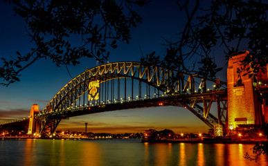 Sydney Harbour Bridge at dusk framed by leaves