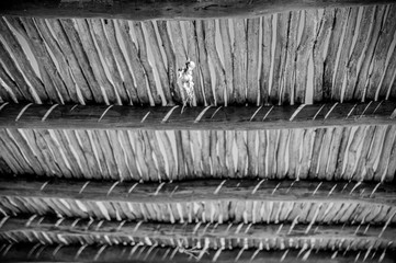 lights and shadows reflected in a wood ceiling, focus in the top