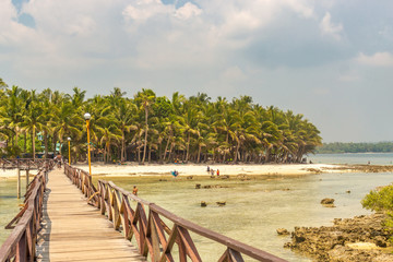 Siargao Island Palms Beach Ocean