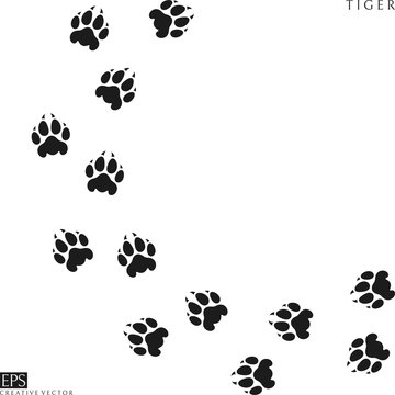 Tiger paw prints. Silhouette. Isolated paw prints on white background