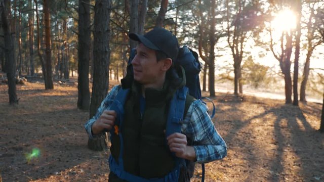 A man, a tourist with a backpack and a cap is walking through a pine forest at sunset. Active lifestyle.