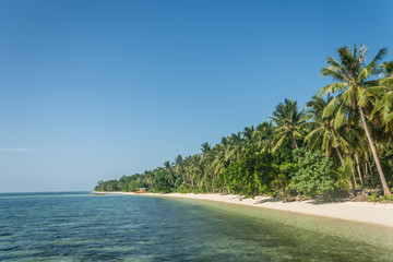 Siargao Island Palms Beach Ocean
