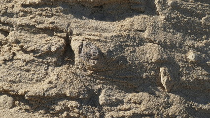 background image of river sand