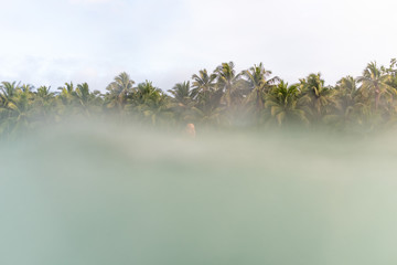 Siargao Island Palms Beach Ocean