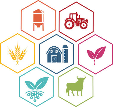  Icon Of Various Symbols Of Agriculture